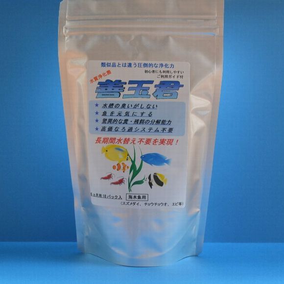 善玉君海水魚_3
