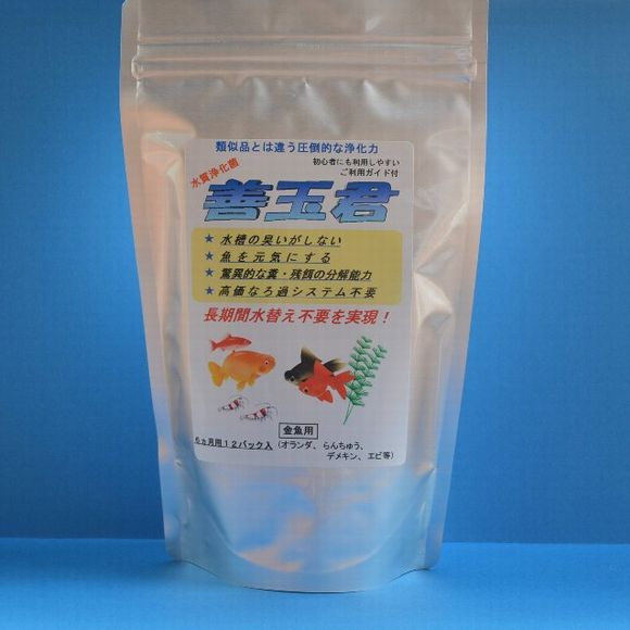 善玉君金魚_3