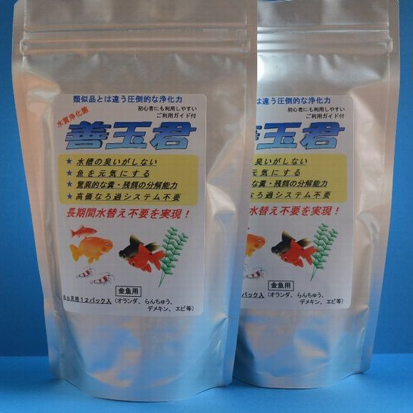 善玉君金魚_4