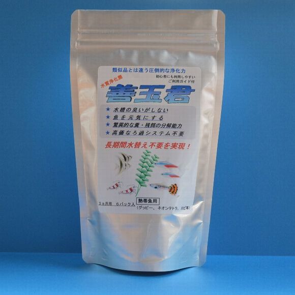 善玉君熱帯魚_2