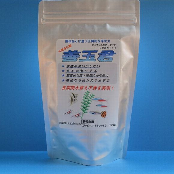 善玉君熱帯魚_3