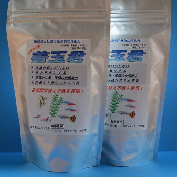 善玉君熱帯魚_4